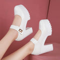 Large size thick heel high heels